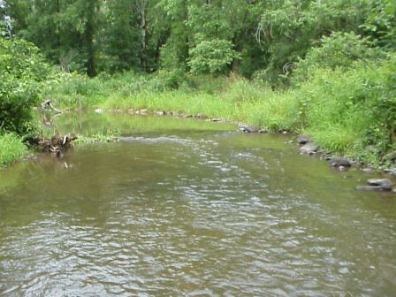 BIOMONITORING UPSTREAM WEB PHOTO
