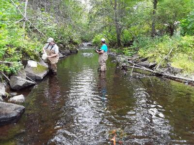 BIOMONITORING UPSTREAM WEB PHOTO