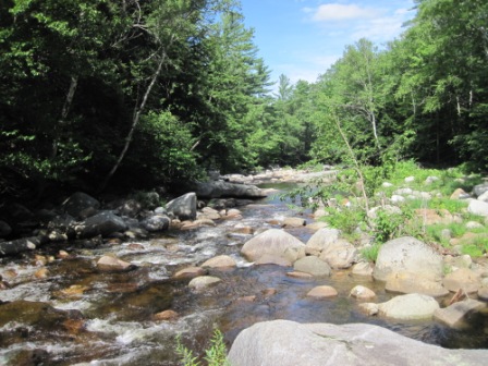 BIOMONITORING DOWNSTREAM WEB PHOTO