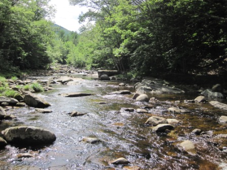 BIOMONITORING UPSTREAM WEB PHOTO