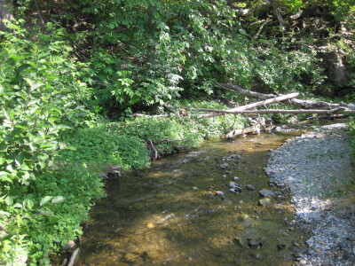 BIOMONITORING DOWNSTREAM WEB PHOTO