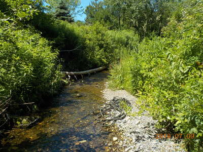 BIOMONITORING UPSTREAM WEB PHOTO