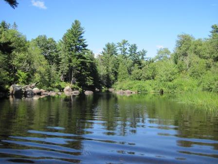 BIOMONITORING UPSTREAM WEB PHOTO
