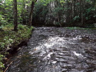 BIOMONITORING DOWNSTREAM WEB PHOTO