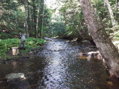 BIOMONITORING UPSTREAM WEB PHOTO