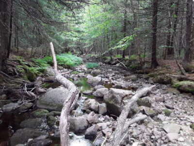 BIOMONITORING DOWNSTREAM WEB PHOTO