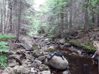 BIOMONITORING UPSTREAM WEB PHOTO