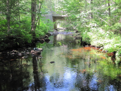 BIOMONITORING UPSTREAM WEB PHOTO
