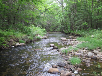BIOMONITORING DOWNSTREAM WEB PHOTO