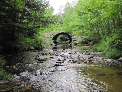 BIOMONITORING UPSTREAM WEB PHOTO