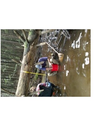 BIOMONITORING DOWNSTREAM WEB PHOTO