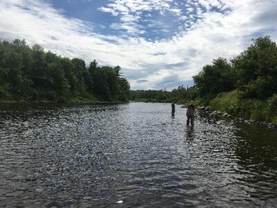 BIOMONITORING UPSTREAM WEB PHOTO