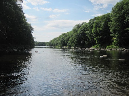 BIOMONITORING DOWNSTREAM WEB PHOTO