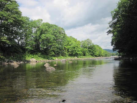 BIOMONITORING UPSTREAM WEB PHOTO