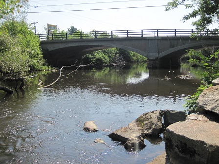 BIOMONITORING DOWNSTREAM WEB PHOTO