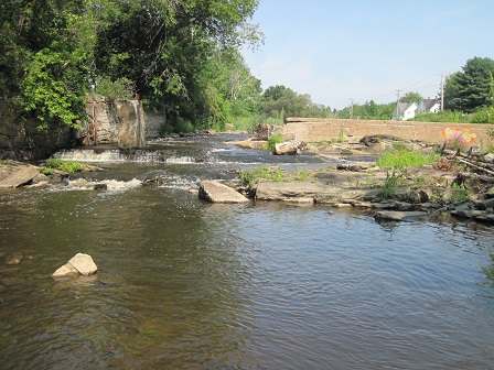 BIOMONITORING UPSTREAM WEB PHOTO