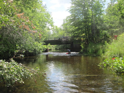 BIOMONITORING DOWNSTREAM WEB PHOTO
