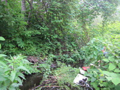 BIOMONITORING UPSTREAM WEB PHOTO