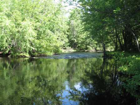 BIOMONITORING DOWNSTREAM WEB PHOTO