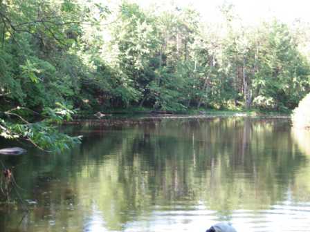 BIOMONITORING UPSTREAM WEB PHOTO
