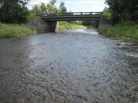 BIOMONITORING DOWNSTREAM WEB PHOTO
