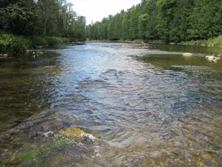 BIOMONITORING UPSTREAM WEB PHOTO