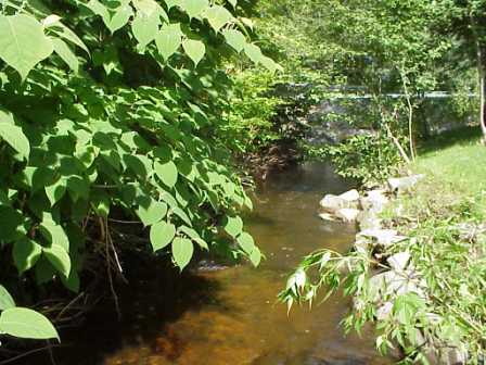BIOMONITORING DOWNSTREAM WEB PHOTO
