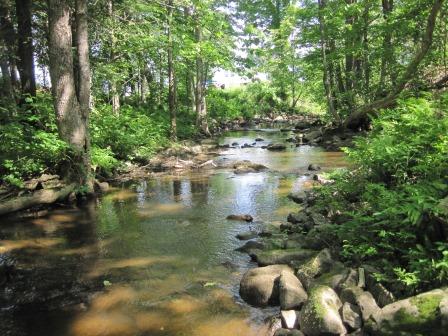 BIOMONITORING DOWNSTREAM WEB PHOTO