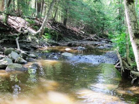 BIOMONITORING UPSTREAM WEB PHOTO