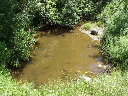 BIOMONITORING DOWNSTREAM WEB PHOTO