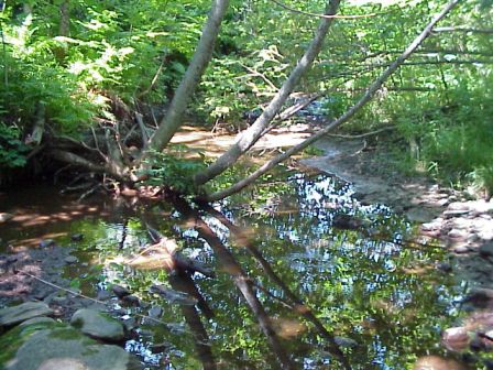 BIOMONITORING UPSTREAM WEB PHOTO