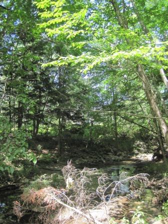 BIOMONITORING DOWNSTREAM WEB PHOTO