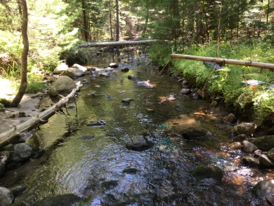 BIOMONITORING DOWNSTREAM WEB PHOTO