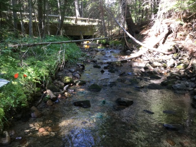 BIOMONITORING UPSTREAM WEB PHOTO