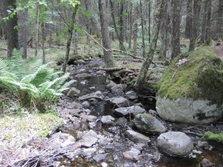 BIOMONITORING DOWNSTREAM WEB PHOTO