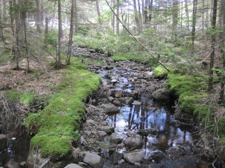 BIOMONITORING UPSTREAM WEB PHOTO