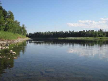 BIOMONITORING DOWNSTREAM WEB PHOTO
