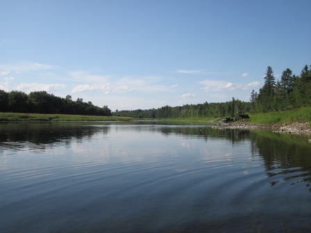 BIOMONITORING UPSTREAM WEB PHOTO
