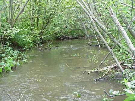 BIOMONITORING DOWNSTREAM WEB PHOTO