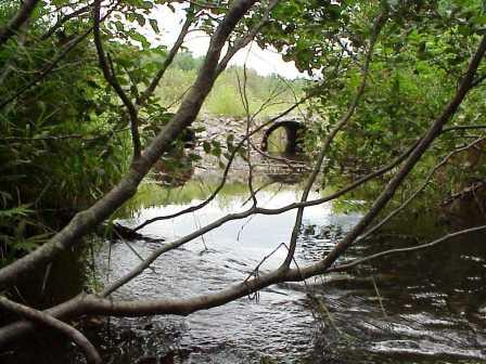 BIOMONITORING UPSTREAM WEB PHOTO