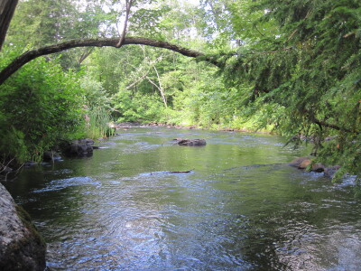 BIOMONITORING UPSTREAM WEB PHOTO
