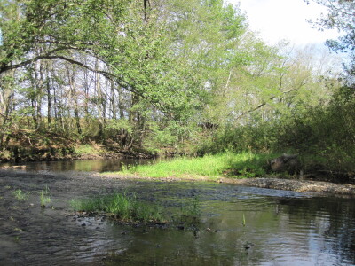 BIOMONITORING DOWNSTREAM WEB PHOTO