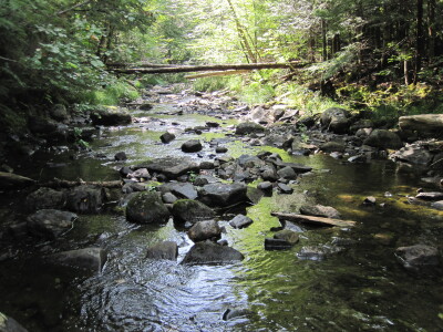 BIOMONITORING DOWNSTREAM WEB PHOTO