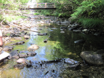 BIOMONITORING UPSTREAM WEB PHOTO