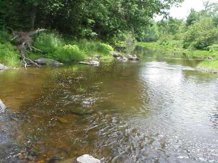 BIOMONITORING DOWNSTREAM WEB PHOTO