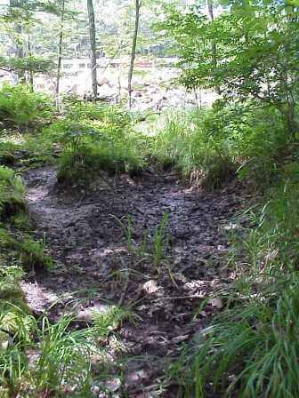 BIOMONITORING DOWNSTREAM WEB PHOTO