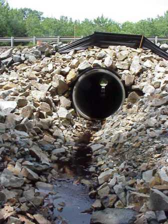 BIOMONITORING UPSTREAM WEB PHOTO