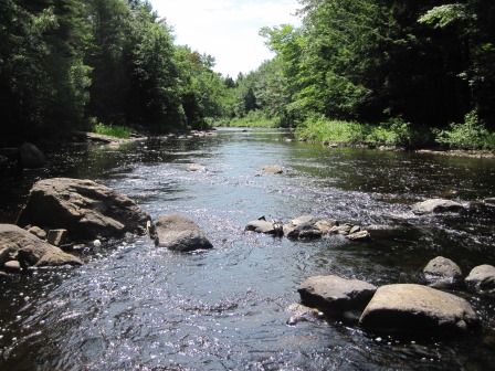 BIOMONITORING DOWNSTREAM WEB PHOTO