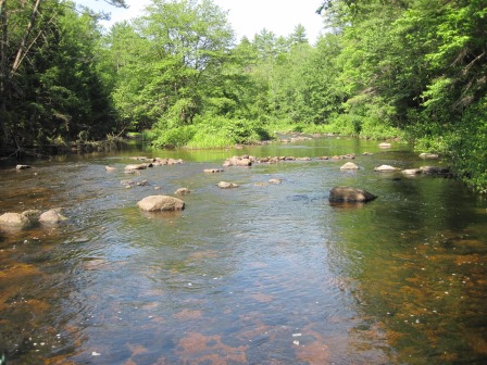 BIOMONITORING UPSTREAM WEB PHOTO