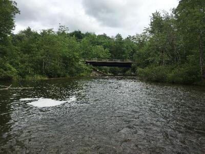 BIOMONITORING DOWNSTREAM WEB PHOTO